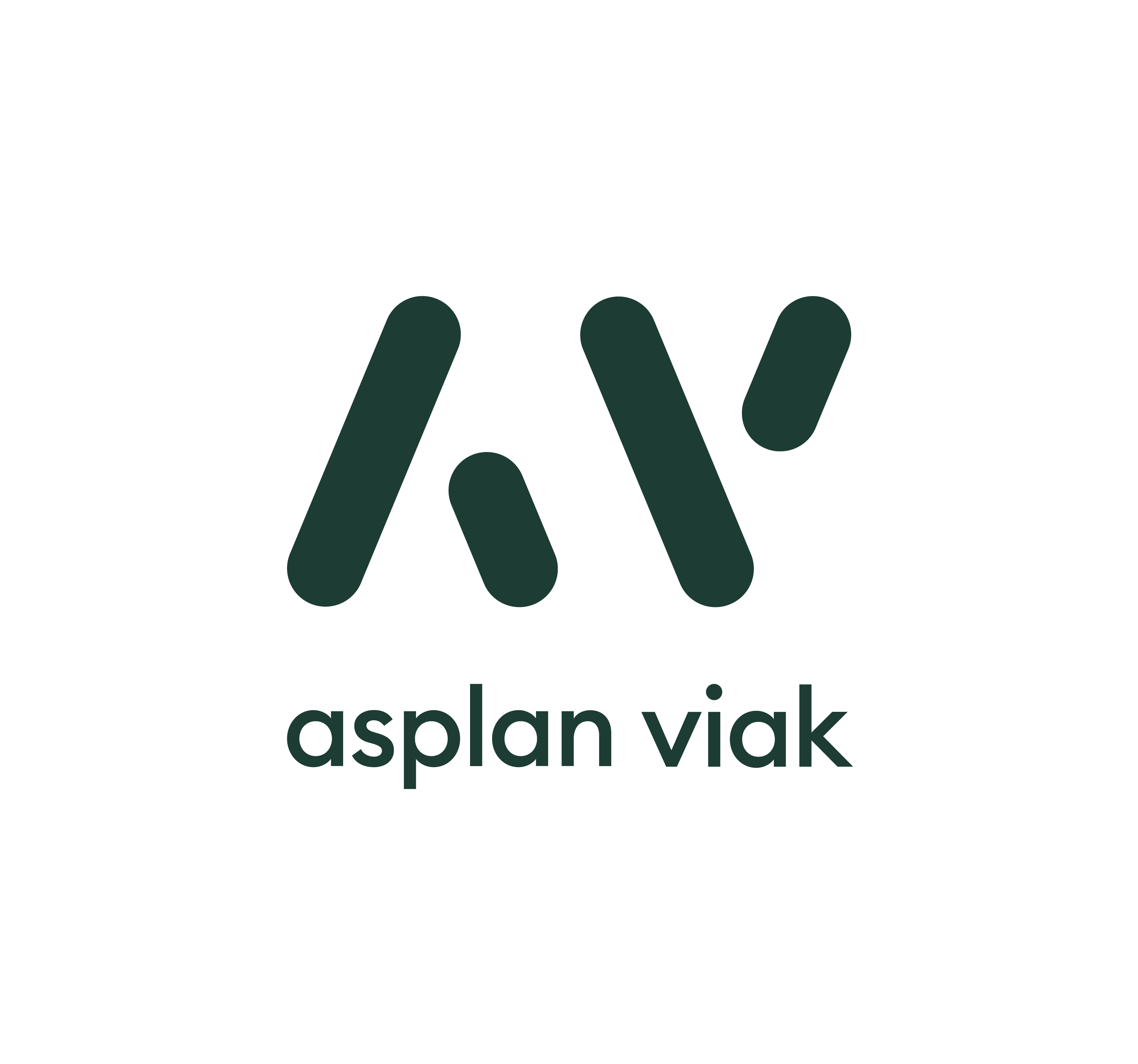 Asplan Viak Logo