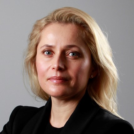 – Dersom flere i samme bedrift har behov for felles kompetanseutvikling, vil et slikt program gi motivasjon og et felles ståsted for videre utvikling av organisasjonen, sier Kristin Arefjord Stave hos NHH Executive.